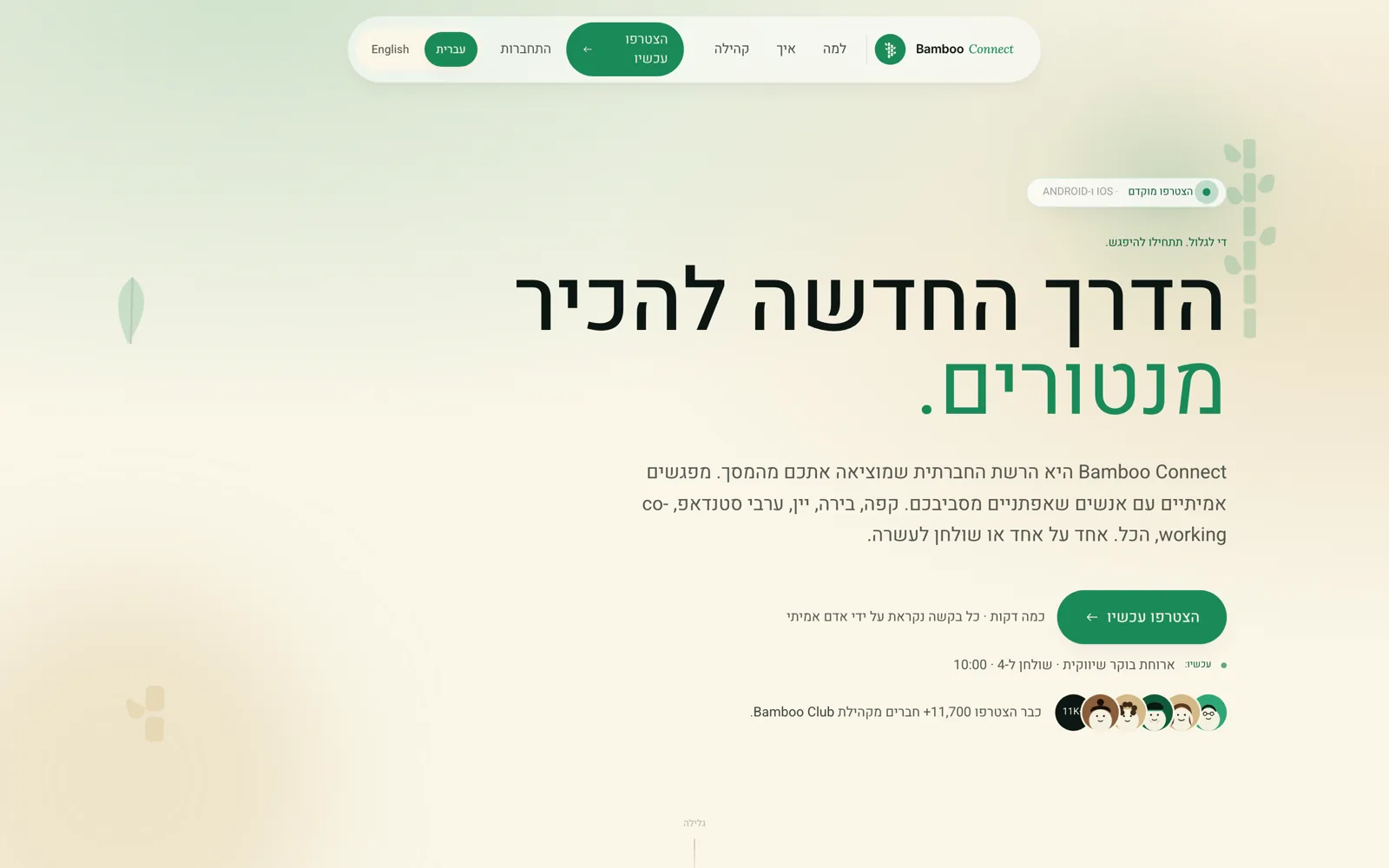 Bamboo Connect, bambooil.app
